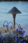 cast light 4.PNG (317990 bytes)